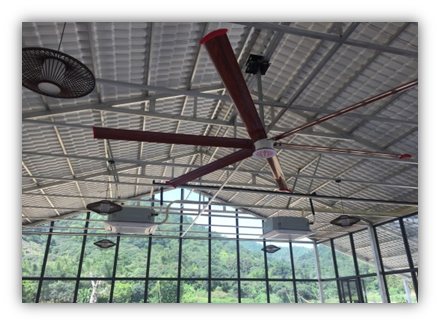 發(fā)展歷史(圖1) 發(fā)展歷史(圖1)