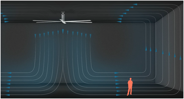 發(fā)展歷史(圖2) 發(fā)展歷史(圖2)